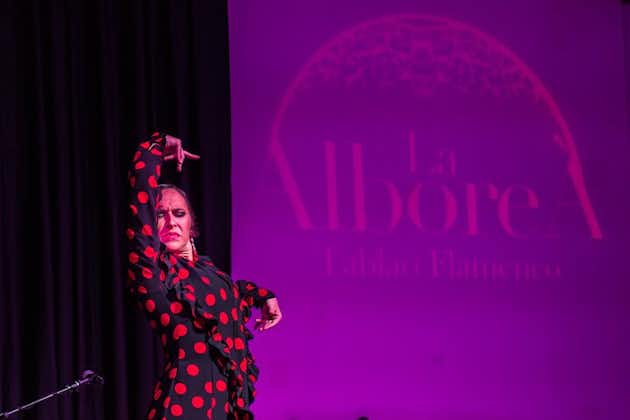 Visite à pied de l'Albaicin et du Sacromonte et spectacle de flamenco