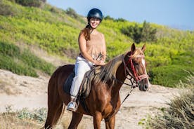Horse Riding in Mallorca on the Beach