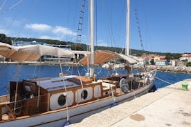Croisière privée d'une demi-journée au départ de Zadar (10-12) personnes