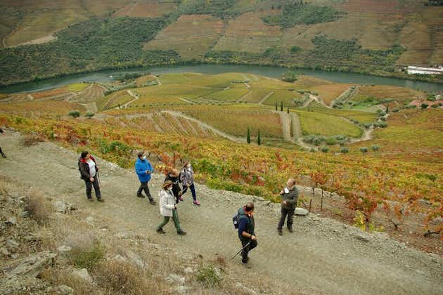 Douro Valley: From Casal de Loivos to Pinhão, walk and Wine Tour