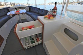 Private Eco-cruise frá Guadalquivir með löggiltum leiðsögumanni