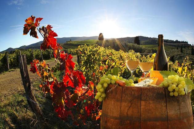 Bella Toscana Einkaferð: San Gimignano & 2 vínhús Chianti, SuperTuscan vín