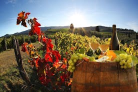 Chianti, SuperTuscan et San Gimignano - 2 établissements vinicoles et déjeuner léger