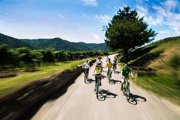 Sykkeltur for liten gruppe fra Wien til vinprodusenter i Wachau-dalen
