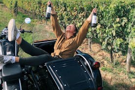 Guided Vineyard Tour with Wine Tasting in Saint-Émilion