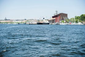 Privat rundtur: Stadsvandring i Stockholm med Vasamuseet