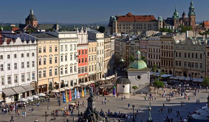 Heldagstur med sightseeing i Kraków