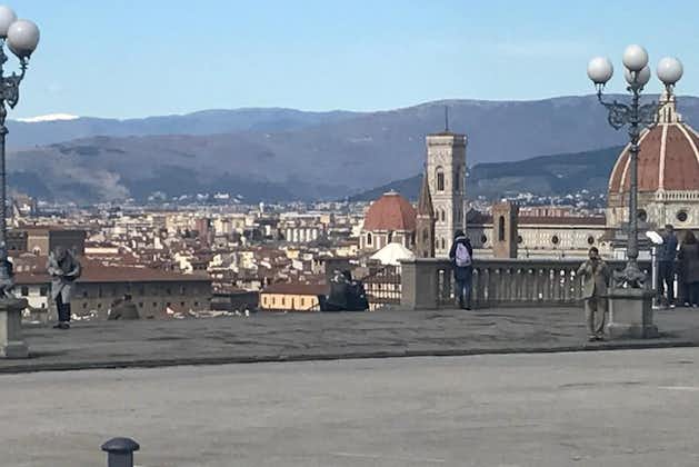 Pisa & Florenz heben Landausflug vom Hafen von Livorno hervor