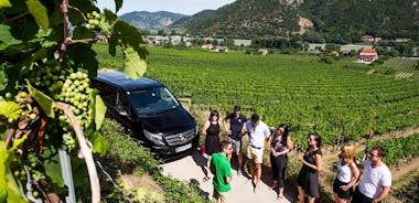 Excursão para grupos pequenos pelo Vale de Wachau e degustação de vinhos saindo de Viena