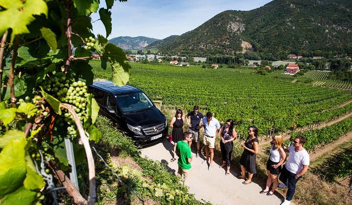 와 차우 밸리 (Wachau Valley) 비엔나에서 소그룹 투어와 와인 시음