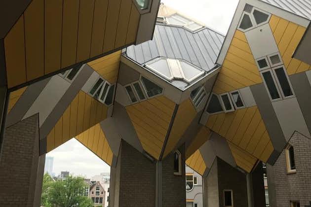 Visite en groupe privé de l'architecture à pied de Rotterdam