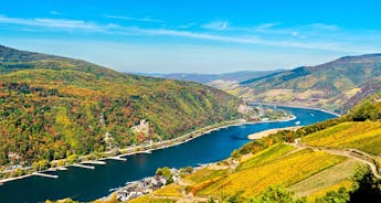 The Romantic Rhine Valley and the Rock of Lorelei (port-to-port cruise) - L EUROPE