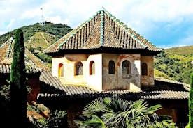 Alhambra & Generalife Skip the Line Premium Tour including Nasrid Palaces