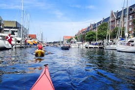 2 Hours Guided Kayak Tour in Copenhagen Harbor