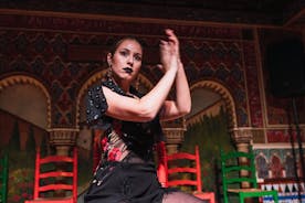 Flamenco sýning í Sevilla við hlið dómkirkjunnar