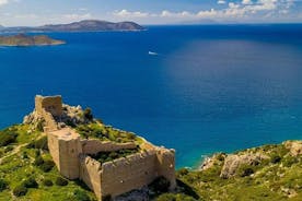 Full Day Rhodes Island Tour with Wine Tasting Experience
