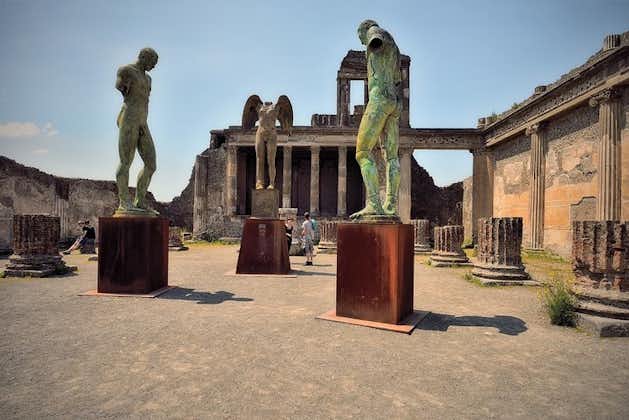 The last day of Pompeii private tour