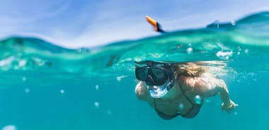 Snorkeling Experience and Dinghy Tour of Portofino Marine Reserve