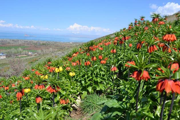 Eastern Turkey 12-Day Sightseeing Tour from Trabzon