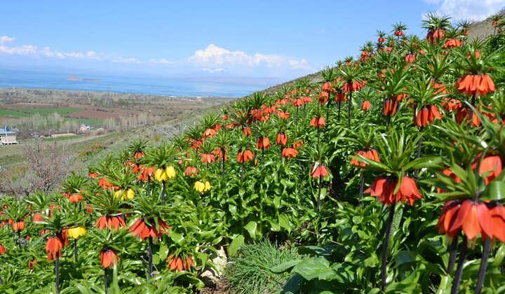 Östra Turkiet 12-dagars sightseeingtur från Trabzon