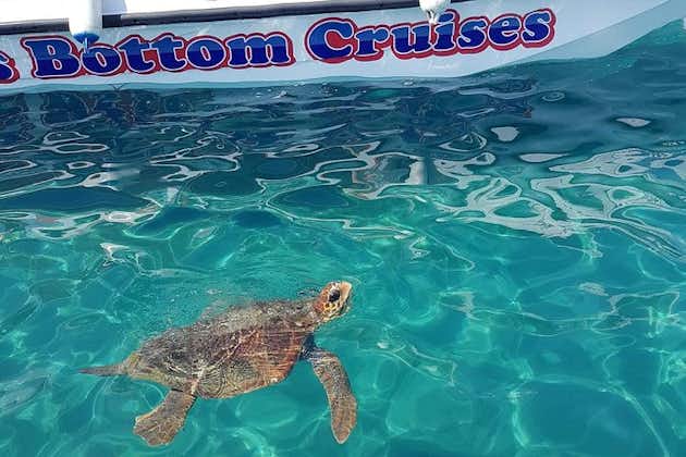 Cruise to turtle's island and caves with a glass bottom boat