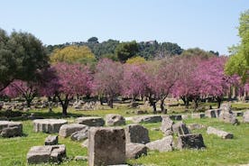Tour en grupos pequeños por la antigua Olimpia y degustación de comida local