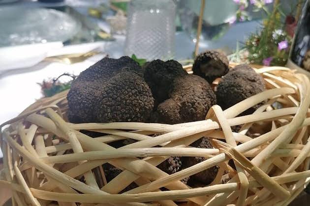 Day Trip: Truffle Hunting With Lunch + Montefalco guided tour