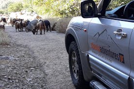 Privat - Jeep Safari Tour med lunch och provsmakningar