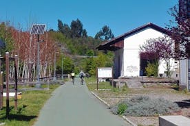 Cycling Ecopista do Dão One Way, full-day from Coimbra