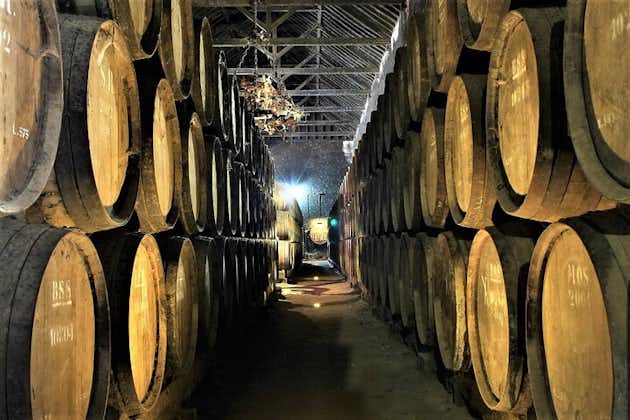 Privat vinsmakingstur i Setúbal-regionen fra Lisboa