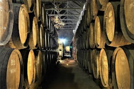 리스본에서 출발하는 세투발 와인 산지로의 프라이빗 와인 시음 투어