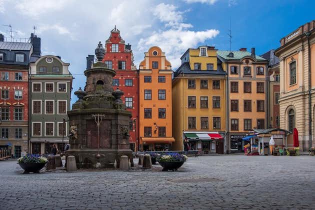 Private Stockholm City Tour (6 hours)