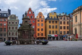 Private Stockholm City Tour (6 hours)