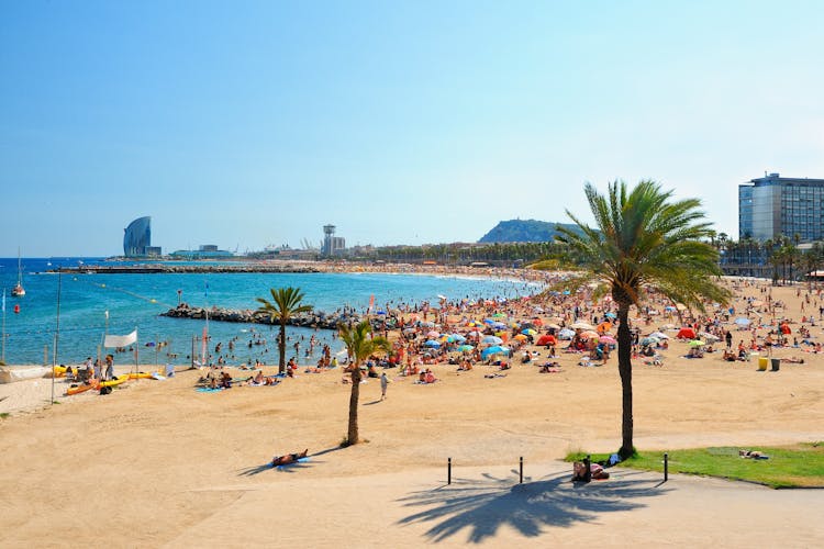 Photo of Barcelona beach on a summer day.