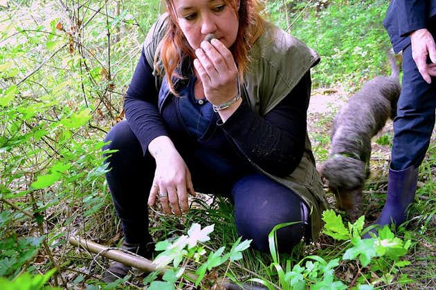 San Miniato Truffle Hunting Experience with Lunch