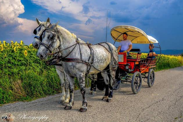 Giro enogastronomico 