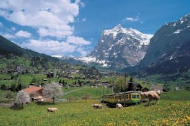 Viagem independente de um dia pela região de Bernese Oberland e Jungfrau partindo de Lucerna