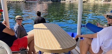 Privat cruise nær Nice og Monaco med soldrevet båt