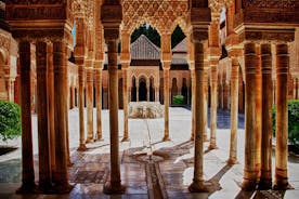 Alhambra Private Tour with a Historian (with Nasrid Palaces)