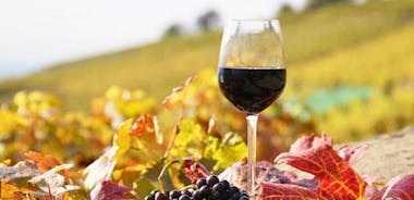 Tour privato: degustazione di vini per l'intera giornata Naousa e Ag.Nikolaos
