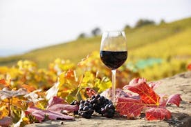 Privétour: volledige dag wijnproeven Naousa & Ag.Nikolaos