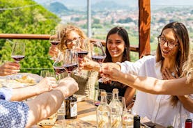 Lake Como: Food and Wine tour in Colico