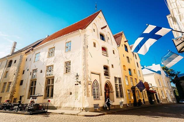 Visite privée : excursion de 5 heures - le meilleur de Tallinn avec peinture au massepain et visite de la ville