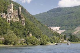 Rhindalen tur fra Frankfurt herunder Rhine River Cruise