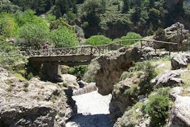 Privat rundrejse fra Chania til Samaria Gorge Park