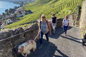 Storie di vite: passeggiata sul vino Lavaux e Lutry