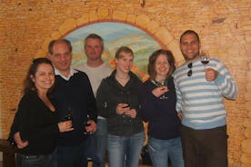 Descubrimiento del vino de Beaujolais - Medio día - Tour en grupo pequeño desde Lyon