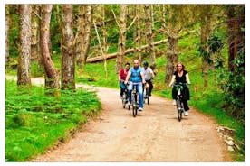 Ciclismo por la Vía Verde y picnic gourmet. Mayonesa. Guía privado.