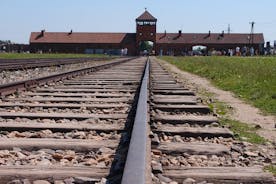 Auschwitz-Birkenau och Wieliczka saltgruvor på två dagar
