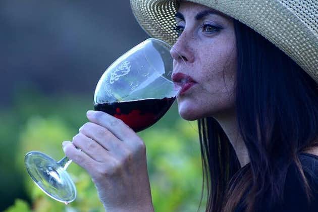 Besøg Bodegas Teneguía vingård i La Palma med vinsmagning